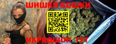 гашик Бийск