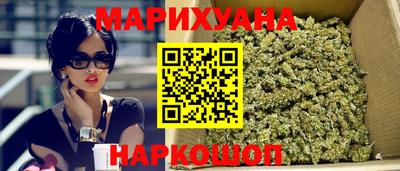 гашик Бийск