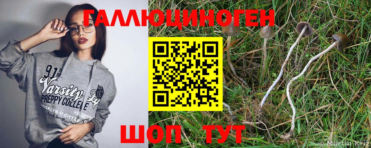Балаково  Псилоцибиновые грибы мицелий  Вход с VPN 
